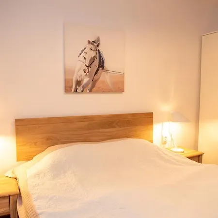 Classic Near The City Center Apartment *