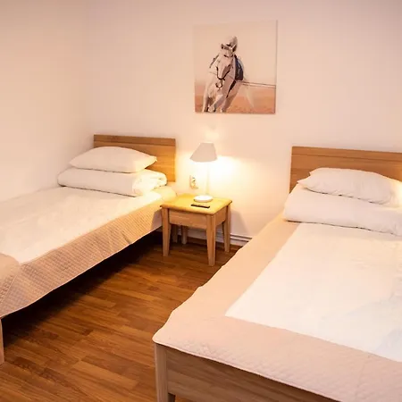 Apartment Classic Near The City Center