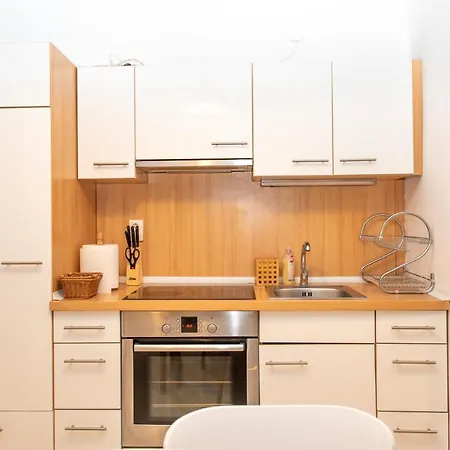 Apartment Classic Near The City Center