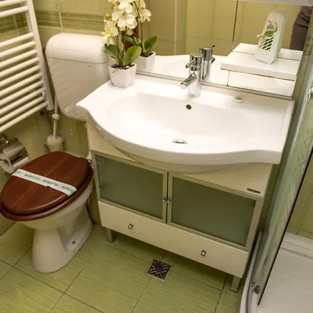 Classic Near The City Center Apartment *